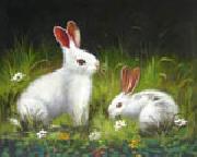 unknow artist Rabbit USA oil painting artist